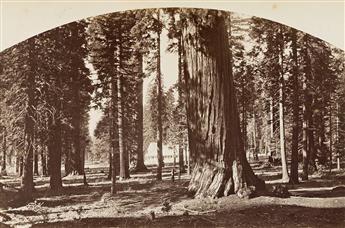 CARLETON E. WATKINS (1829-1916) Four dome-topped views of Yosemite (2) and Calaveras Big Trees (2), California. 1878-81.